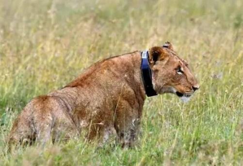 hth华体官方下载app