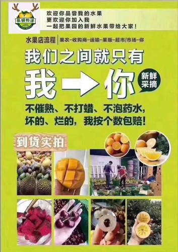 华润电力2019年1月售电量同比降10.2%:hth·华体(图1) hth华体