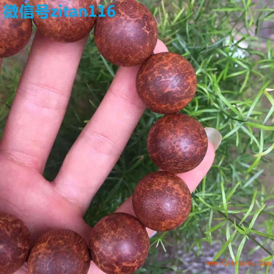 【hth华体官方下载app】兖矿集团冻结法采矿深井术创两项世